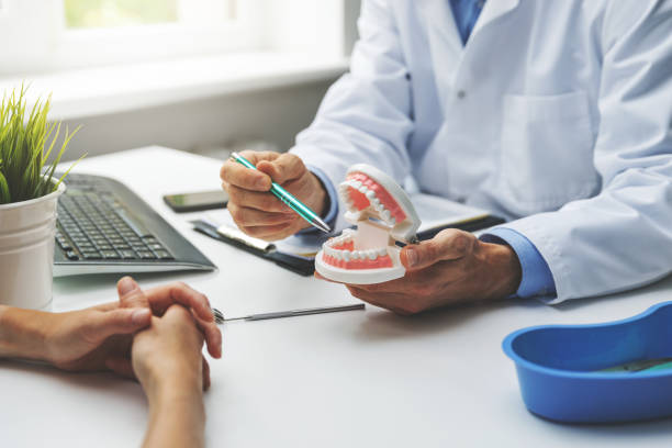 Reliable St Louis Park, MN  Holistic Dental Services Solutions